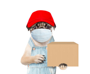Poster - Pug puppy wearing medical protective mask, red cap and overalls holds carton box. isolated on white background