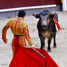 Traditional Corrida - Bullfighting In Spain