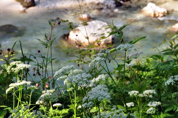 Canvas Print - Die Arche in Ramsau