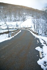 Wall Mural - crossing winter bridge