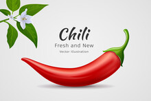 Chili Peppers Red Fresh With Leaves And Flower Chili Realistic Design, On Gray Background, Eps 10 Vector Illustration