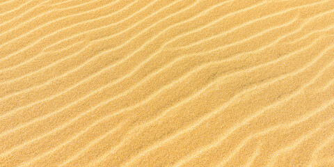  Ripples in the gulden sand 