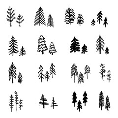 beautiful set of hand drawn pine trees vector collection