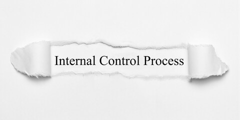 Poster - Internal Control Process 