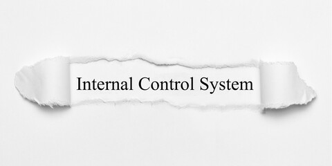 Poster - Internal Control System