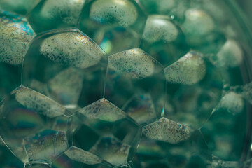 Poster - Beautiful abstract green bubbles background pattern for design. Liquid fluid texture for background, banner.
