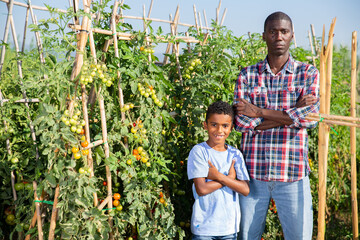 Family of farmers harvesting grapes on field. High quality photo