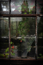 Rusty Windows Of The Old Abandoned Greenhouse