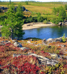 river in taiga in northern russia. the nature of the taiga in a mountainous area.