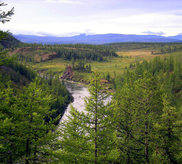 river in taiga in northern russia. the nature of the taiga in a mountainous area.