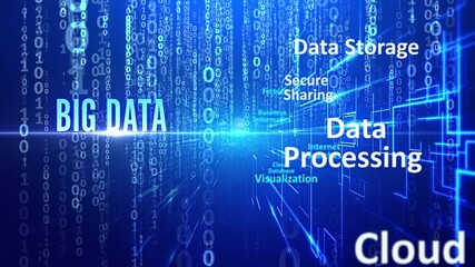 Wall Mural - binary big data concept video backdrop
