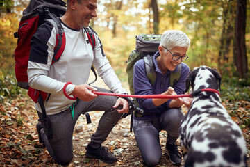 Wall Mural - An elderly hikers couple and their dog having wonderful moments at a hike