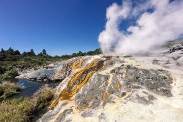 Pohutu Geyser in Te Puia