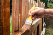 Painting wooden fence at backyard