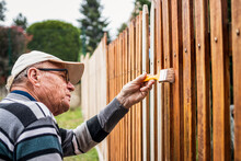 Active Senior Man Painting Wooden Fence In Garden. Old Craftsman Working At Backyard. Repairing Picket Fence