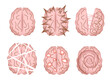 Mental disorder vector illustrations isolated. Abstract depictions of human brain altered by various mental illnesses, psychiatric disorders, neurological disorders or diseases.
