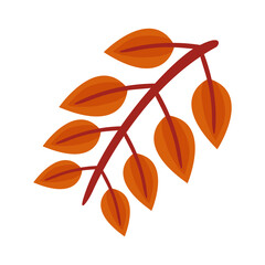 Sticker - autum pinnate leaf flat style icon