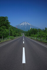 Canvas Print - 北海道、羊蹄山へ続く道