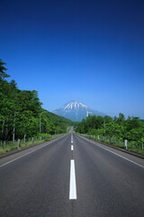 Canvas Print - 北海道、羊蹄山へ続く道