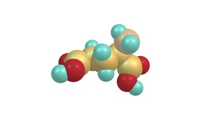 Poster - Glutamic acid rotating video on white