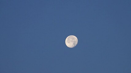 Wall Mural - the full moon in sky moves across the horizon. close-up moon, craters of moon are visible. beautiful