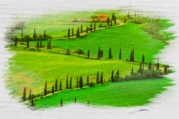 Wall Mural - Winding road with cypresses trees, Tuscany, watercolor painting