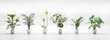 Set of tropical green plants in pots. Home decoration assets