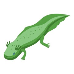  Mexican axolotl icon. Isometric of mexican axolotl vector icon for web design isolated on white background