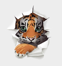 Tiger Cub Face In Paper Hole Illustration