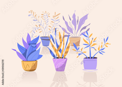 Cuadros en Lienzo Potting trees, flowerpots hanging, plants in pots set isolated objects