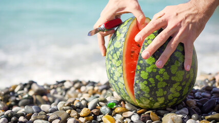 Ripe watermelon lies on the seashore. The cut watermelon lies on the seashore. Watermelon in the sea.