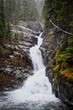 Waterfall on a Cloudy Day in Glacier National Park