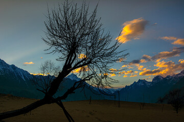 Wall Mural - katpana cold desert in skardu  ,dunes with snow mountain in background, northern areas of gilgit Baltistan Pakistan