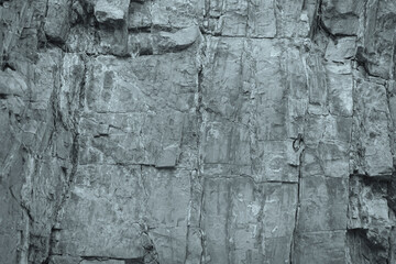 Wall Mural - Gray grunge background. Old stone wall texture. Rock backdrop.