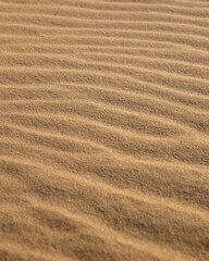  Beautiful desert landscape with dunes. Walk on a sunny day on the sands.