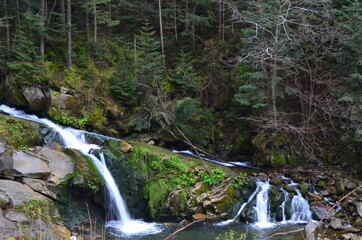 Sticker - Deep forest river wild waterfall view. Forest river wild landscape.