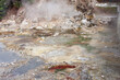 colorful view of hot springs geysers and fumaroles emitting steam