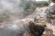 Landscape with steamed air coming from volcanic hot springs and fumaroles, Furnas - Sao Miguel