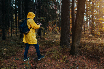 A man in a yellow raincoat in a cloudy dense forest in the rain is looking for a way using a mobile navigator - to get lost in the forest