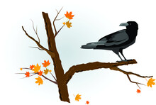 Gray Crow Sits On A Maple Branch With Yellowed Autumn Leaves. Vector Illustration For Design.