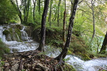 Beautiful Landscape Waterfall, Rocks Overgrown With Moss And Tree Roots Drawing Bizarre Patterns. Scenic View Of Plitvice Lakes National Park