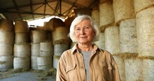 Portrait Of Caucasian Old Gray-haired Woman Shepherd Standing In Barn With Hay Stocks On Background And Smiling To Camera. Senior Female Farmer In Sunlight At Stable. Farming Concept.