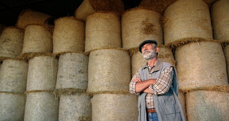 Wall Mural - Portrait of Caucasian old gray-haired male farmer in cap with beard standing at hay stocks in farm and looking at camera. Zooming in. Dolly shot. Grandfather at village. Countryside concept Senior man