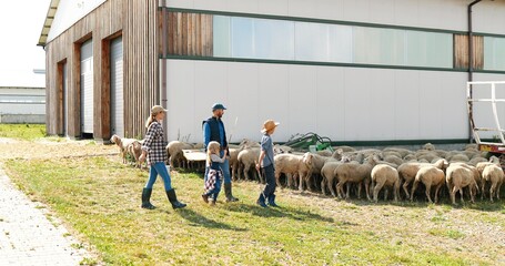 Wall Mural - Caucasian farmers, parents with small children working at farm and taking care of sheep flock. Outdoor. Mother, father, son and daughter watching animals at pasture. Kids with parents. Shepherds.