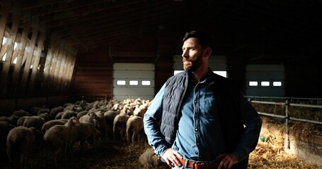 Wall Mural - Portrait of handsome Caucasian man farmer standing in stable with flock of sheep and looking at side in window on sunlight. Farming animals. In shades. Man shepherd in barn.