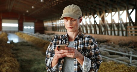 Wall Mural - Young Caucasian woman using smartphone and working in farm stable. Female farmer tapping and scrolling on mobile phone in shed. Shepherd texting message on telephone. Farming concept.