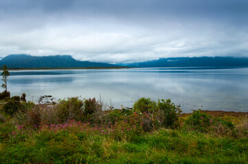 Naklejka na meble Green grassand flowers growing at the shore of Lake Brunner on gloomy day with dramatic sky, Moana, New Zealand