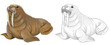 cartoon sketch scene with arctic polar animal walrus - illustration
