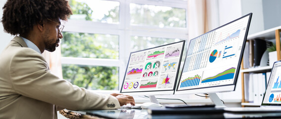Poster - Business Data Analyst Using Computer