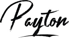 Payton-Female Name Brush Calligraphy On White Background
